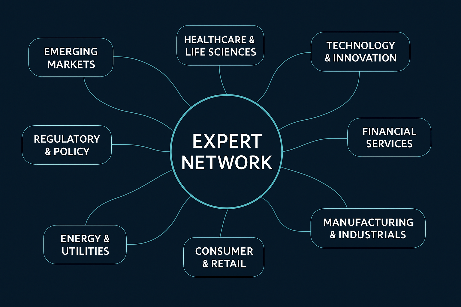 Expert Network Model Visualization